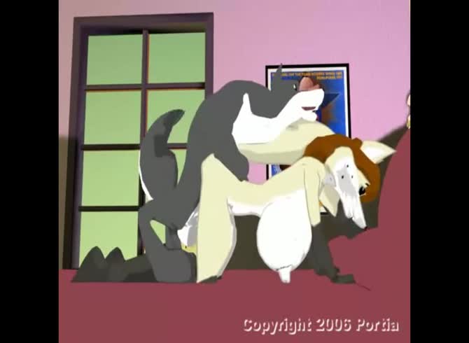 Video :Dogs having sex on the couch in animal porno